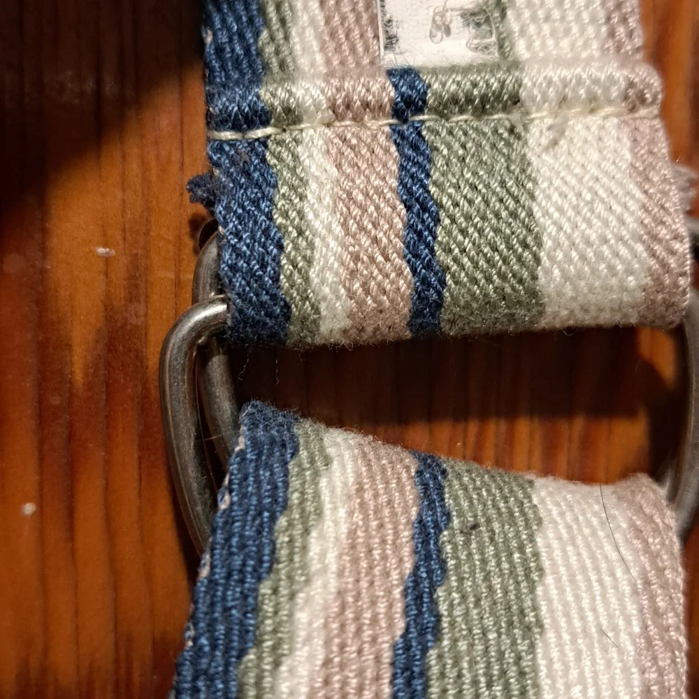 Striped Multicolor Fabric Belt with Double Loop Buckle